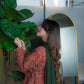 Laal Bagh | 3Pcs Set